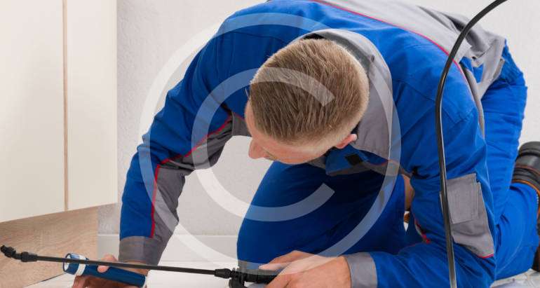 Free home Inspection