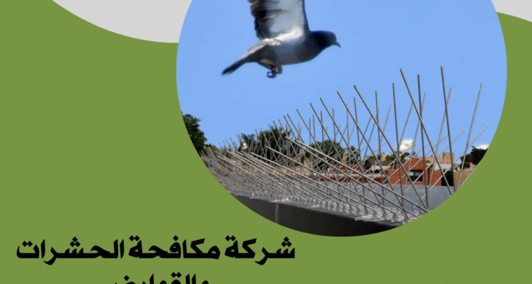 طرق إبداعية لمواجهة مشكلة الطيور في المدن