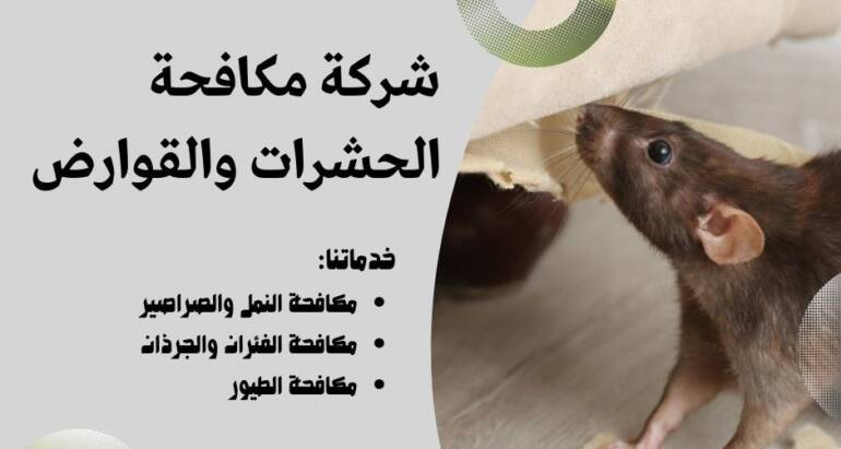 مكافحة الفئران في أبوظبي، دبي والشارقة