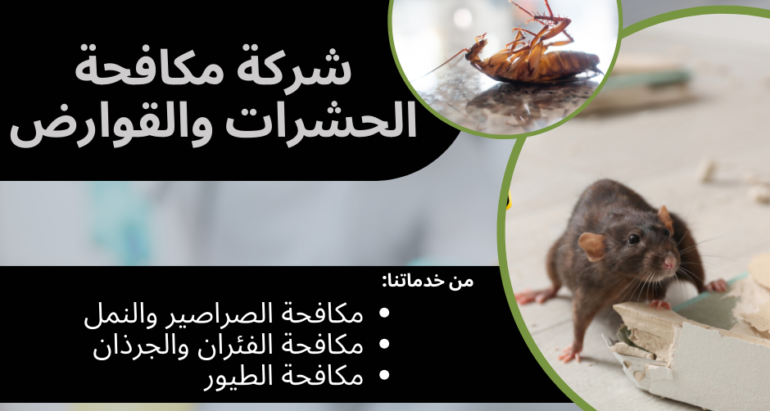 مكافحة الحشرات والقوارض