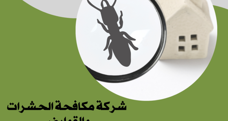 النمل الأبيض في الإمارات: التحديات والاستراتيجيات للوقاية والمكافحة