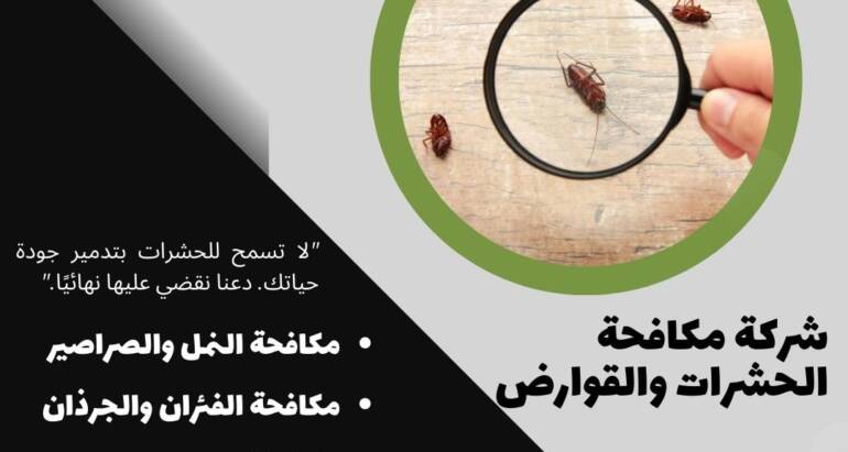 بق الفراش: أسباب انتشاره في أوروبا وكيفية المكافحة والوقاية