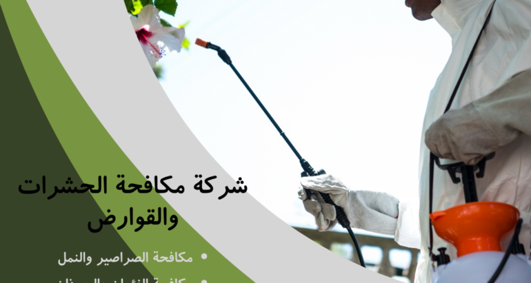 الصراصير في الإمارات: كيفية مكافحتها والحد من أضرارها