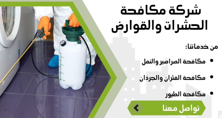 أنواع النمل وأسباب ظهوره وطرق مكافحته في الإمارات العربية المتحدة