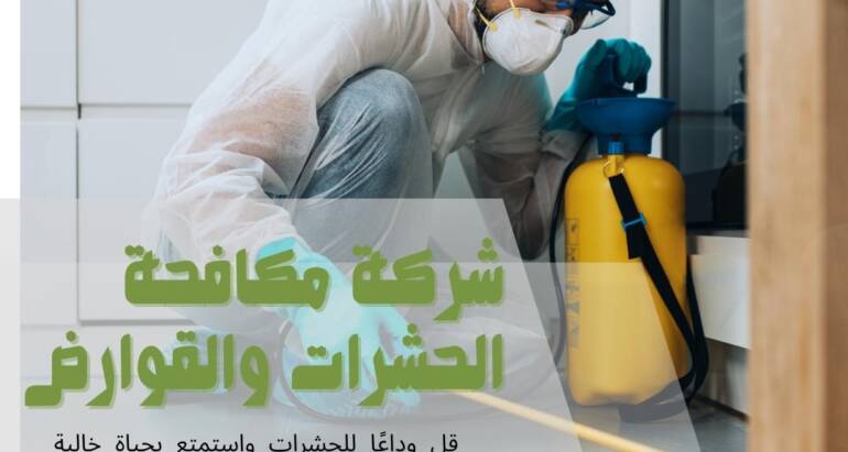 مواجهة التحديات الناتجة عن النمل الأبيض واستراتيجيات فعالة لمكافحته