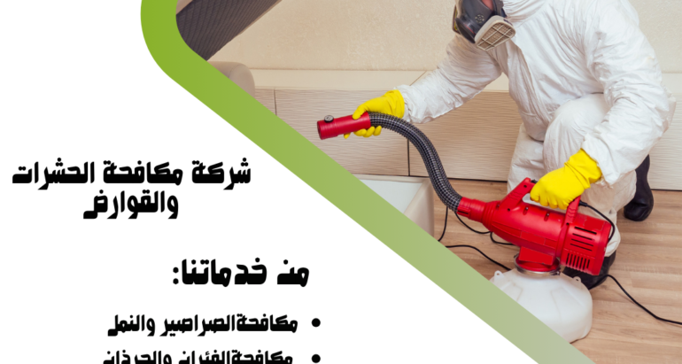 مكافحة الحشرات في فصل الشتاء: دور شركات مكافحة الحشرات في دبي