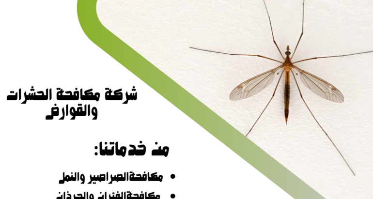 البعوض في الإمارات العربية المتحدة: أسباب الظهور ووسائل مكافحته في فصل الشتاء