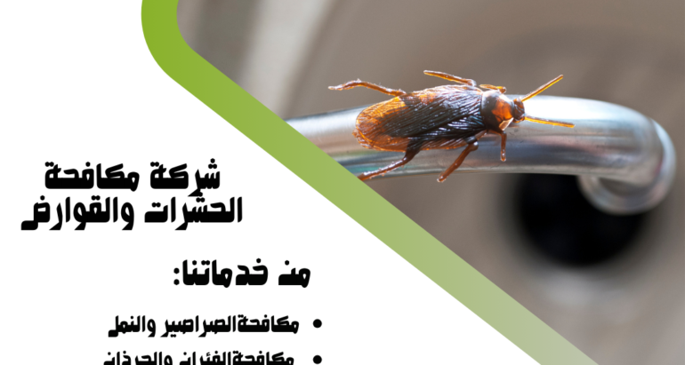 لماذا تظهر الصراصير في منازل دبي؟