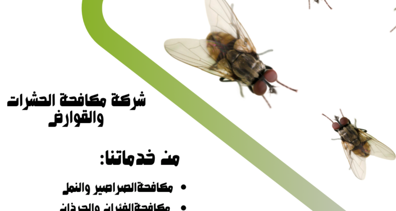الذباب في فصل الشتاء في الإمارات: أسباب انتشاره وكيفية الوقاية والقضاء عليه