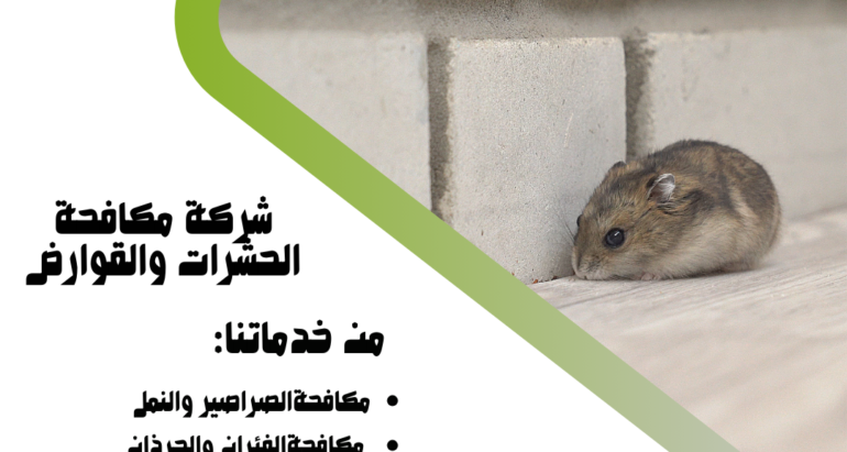 مكافحة الفئران: طرق فعّالة واستراتيجيات مبتكرة