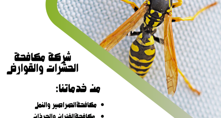 أثار الدبابير على الصحة العامة واستراتيجيات مكافحتها