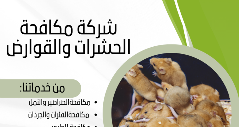 التصدي لتكاثر الفئران في المباني والأماكن العامة