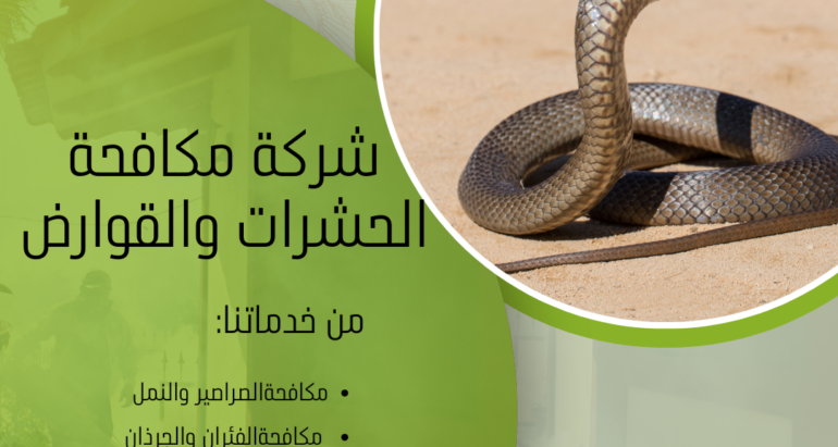 الوقاية من الأفاعي والزواحف في البيئة الصحراوية ودور شركات مكافحة الحشرات