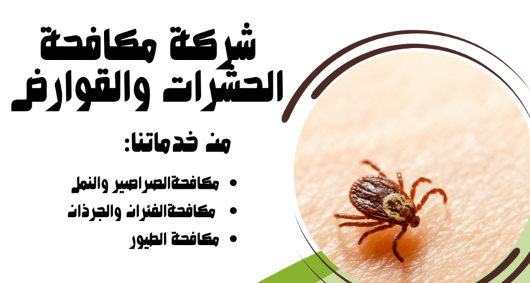 “التخلص من العث في الملابس والأثاث بطرق آمنة”