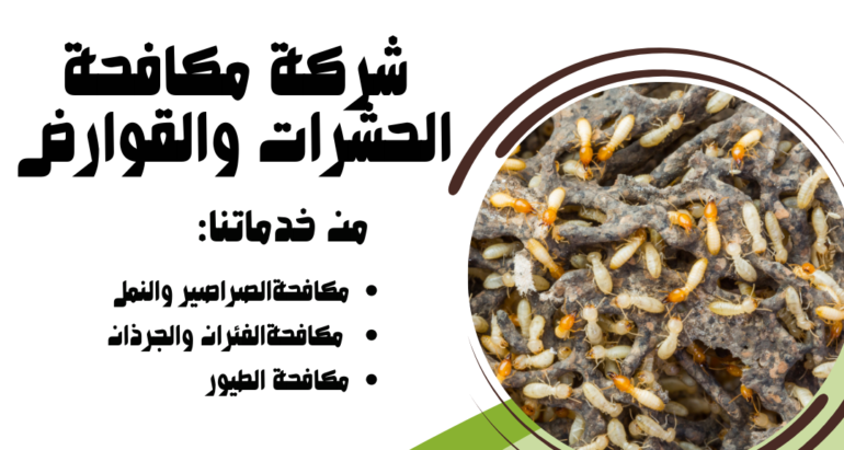 دور شركات مكافحة الحشرات في مكافحة النمل الأبيض الرمة