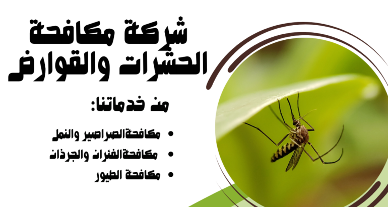  مكافحة البعوض ودور شركات مكافحة الحشرات في القضاء عليها