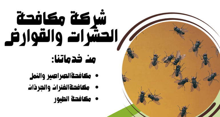 مكافحة الذباب ودور شركات مكافحة الحشرات