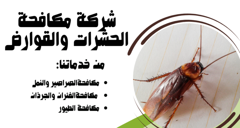 مكافحة الصراصير في دبي: استراتيجيات فعّالة لشركات مكافحة الحشرات