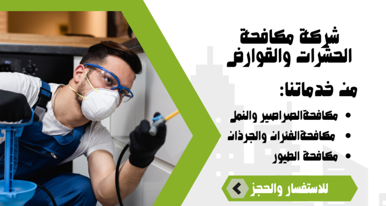 كيفية التعامل مع عناكب المنزل والتخلص من عشها بأمان