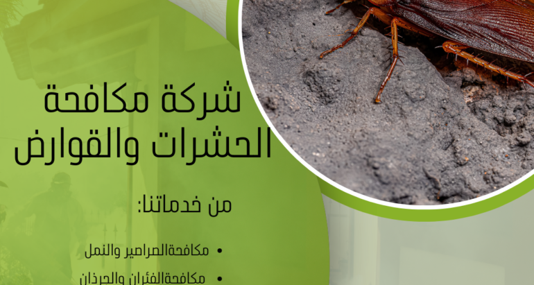 مكافحة الصراصير: الطرق ودور شركات مكافحة الحشرات
