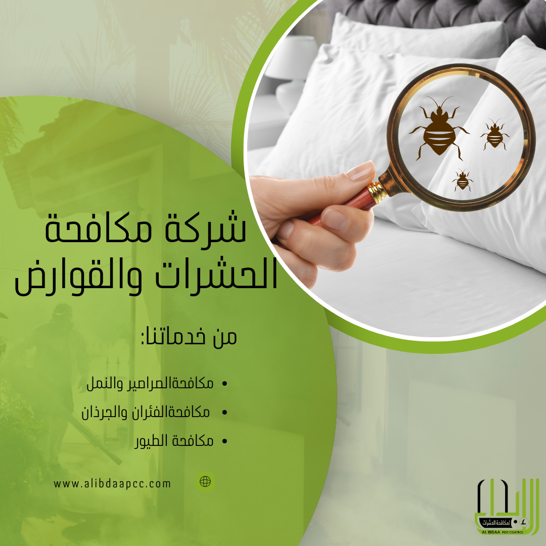 مكافحة الحشرات في دبي: استراتيجيات فعّالة للتخلص من الآفات