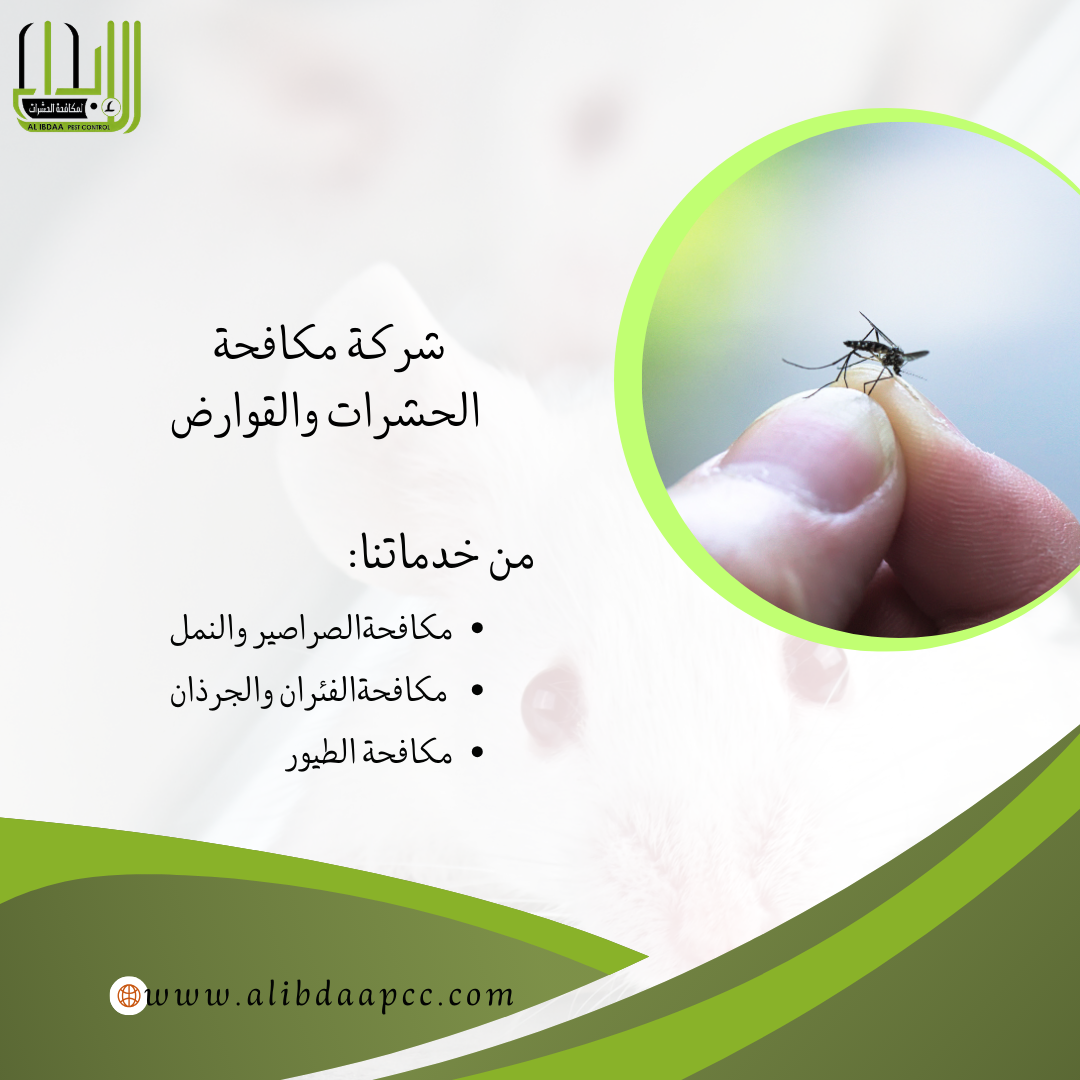 طرق فعّالة للقضاء على البعوض وحماية المنزل