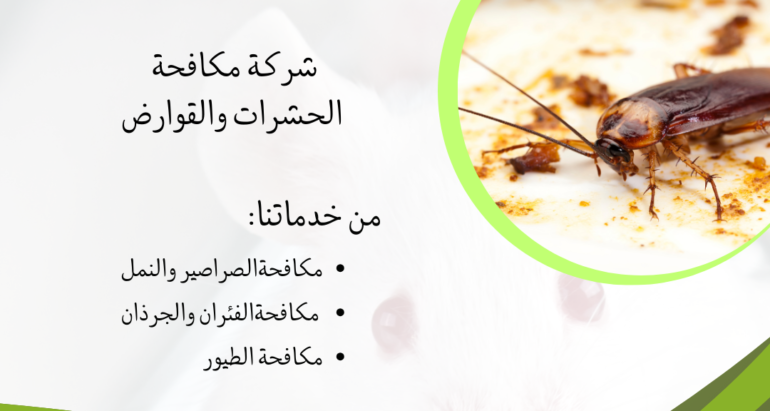 أثار الصراصير على الصحة العامة وطرق مكافحتها