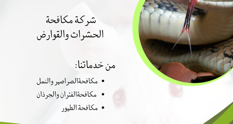 الوقاية من الأفعى في الأجواء الصحراوية ودور شركات مكافحة الحشرات في الحماية