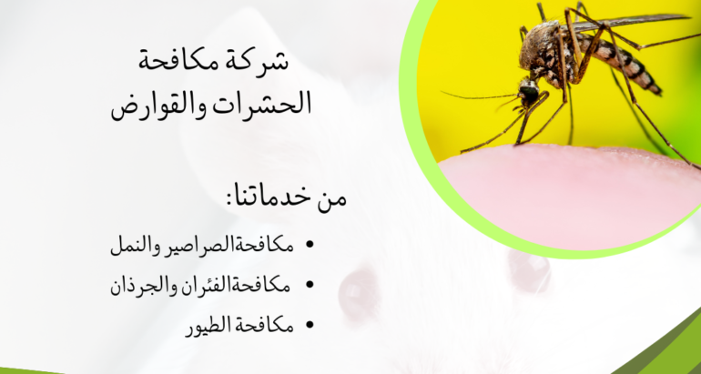 اسباب ظهور البعوض وطرق التخلص منه ودور شركات مكافحة الحشرات في ذلك