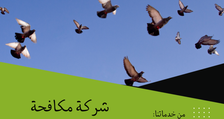 عندما تتحول الطيور إلى مشكلة: استراتيجيات مكافحة الطيور