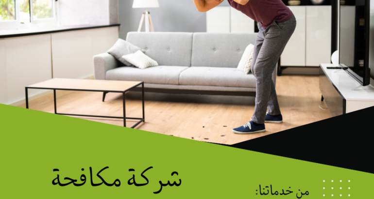 كيفية الوقاية من الحشرات الطائرة في المنازل الفاخرة