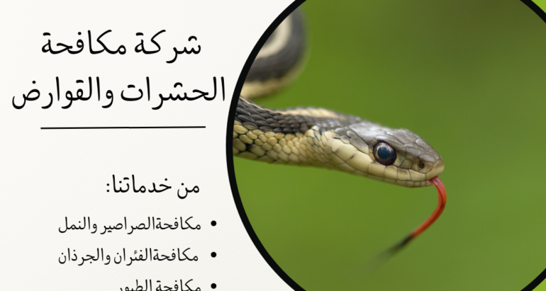 افضل طرق مكافحة الأفاعي في المناطق الصحراوية واساليب شركات مكافحة الحشرات