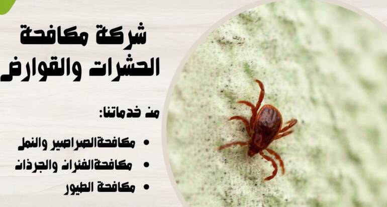 التحذير من آفات الخشب وطرق الوقاية والمكافحة