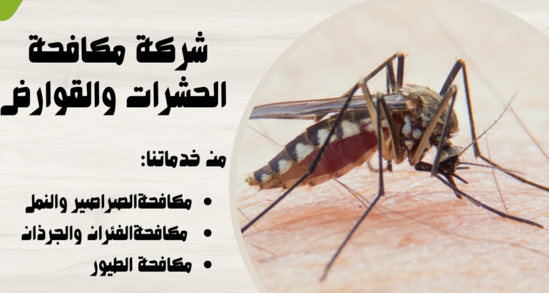 اسباب انتشار البعوض وطرق مكافحته
