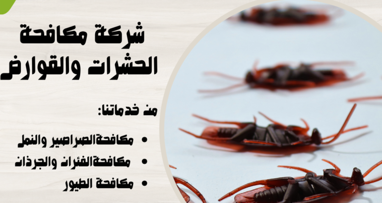 إدارة انتشار الصراصير في فصل الشتاء في دولة الإمارات: التحديات والحلول