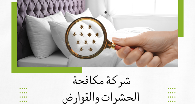 بق الفراش مضاره واسباب ظهوره و طرق مكافحته