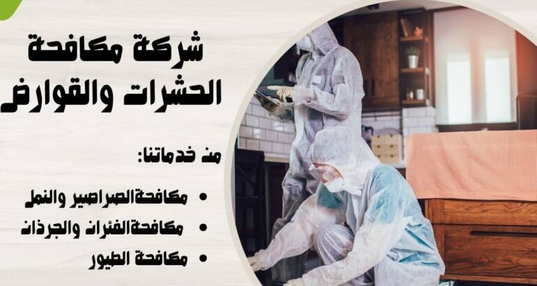 دور شركات مكافحة الحشرات في الوقاية والقضاء على الحشرات المنزلية