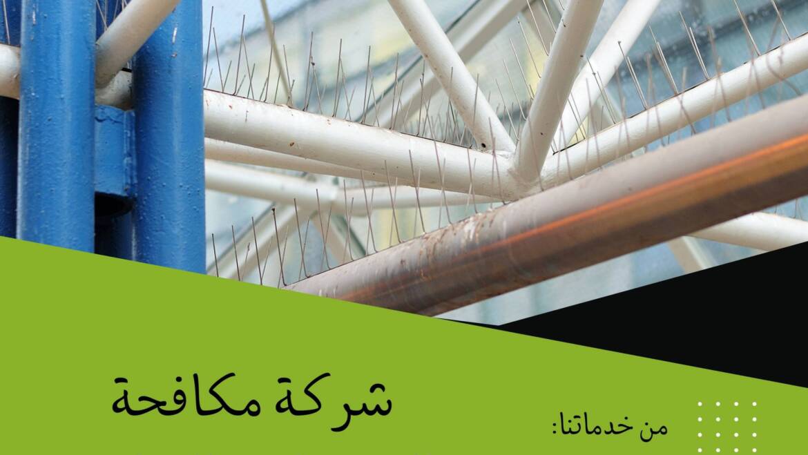 اضرار طيور الحمام على المنازل والسيارات واساليب شركات مكافحة الحشرات في الحماية