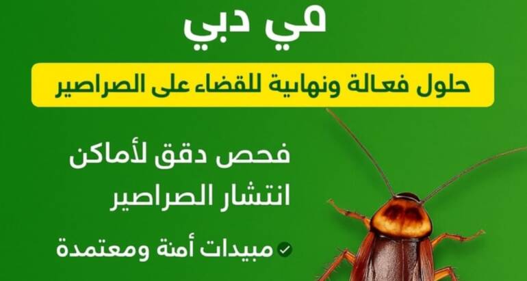 شركة مكافحة الصراصير في دبي
