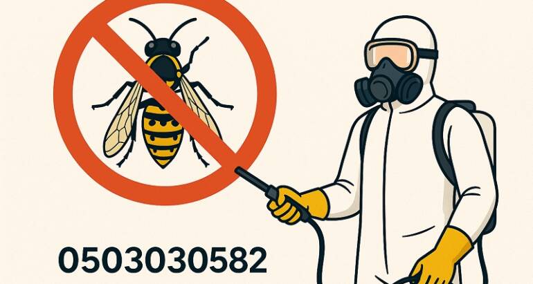 شركة مكافحة الدبابير في دبي