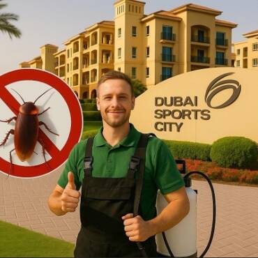 رش الحشرات في دبي