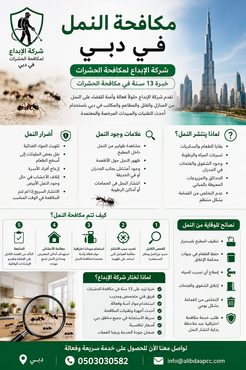 مكافحة النمل في دبي | شركة الإبداع لمكافحة الحشرات بخبرة 13 سنة